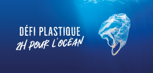 D Fi Plastique Les Marinas De Brest